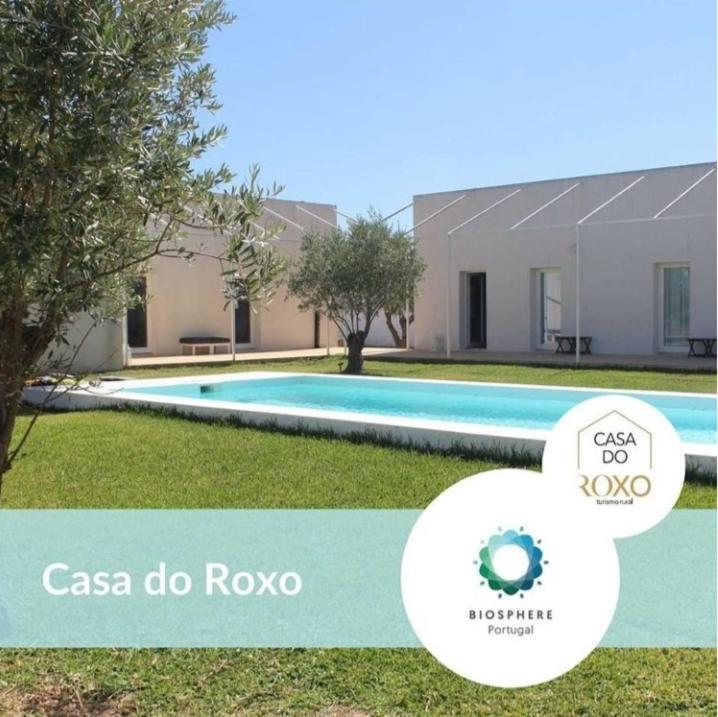Casa Do Roxo - Eco Design Country House Santa Vitória 外观 照片