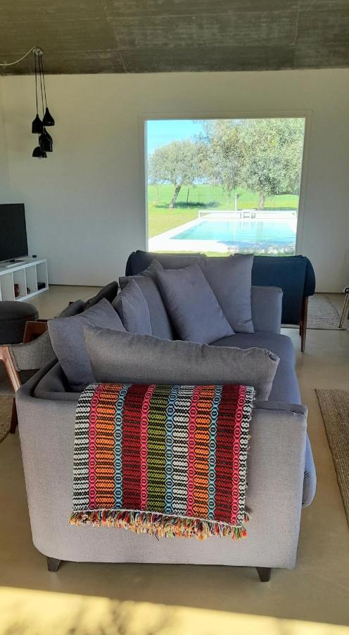 Casa Do Roxo - Eco Design Country House Santa Vitória 外观 照片