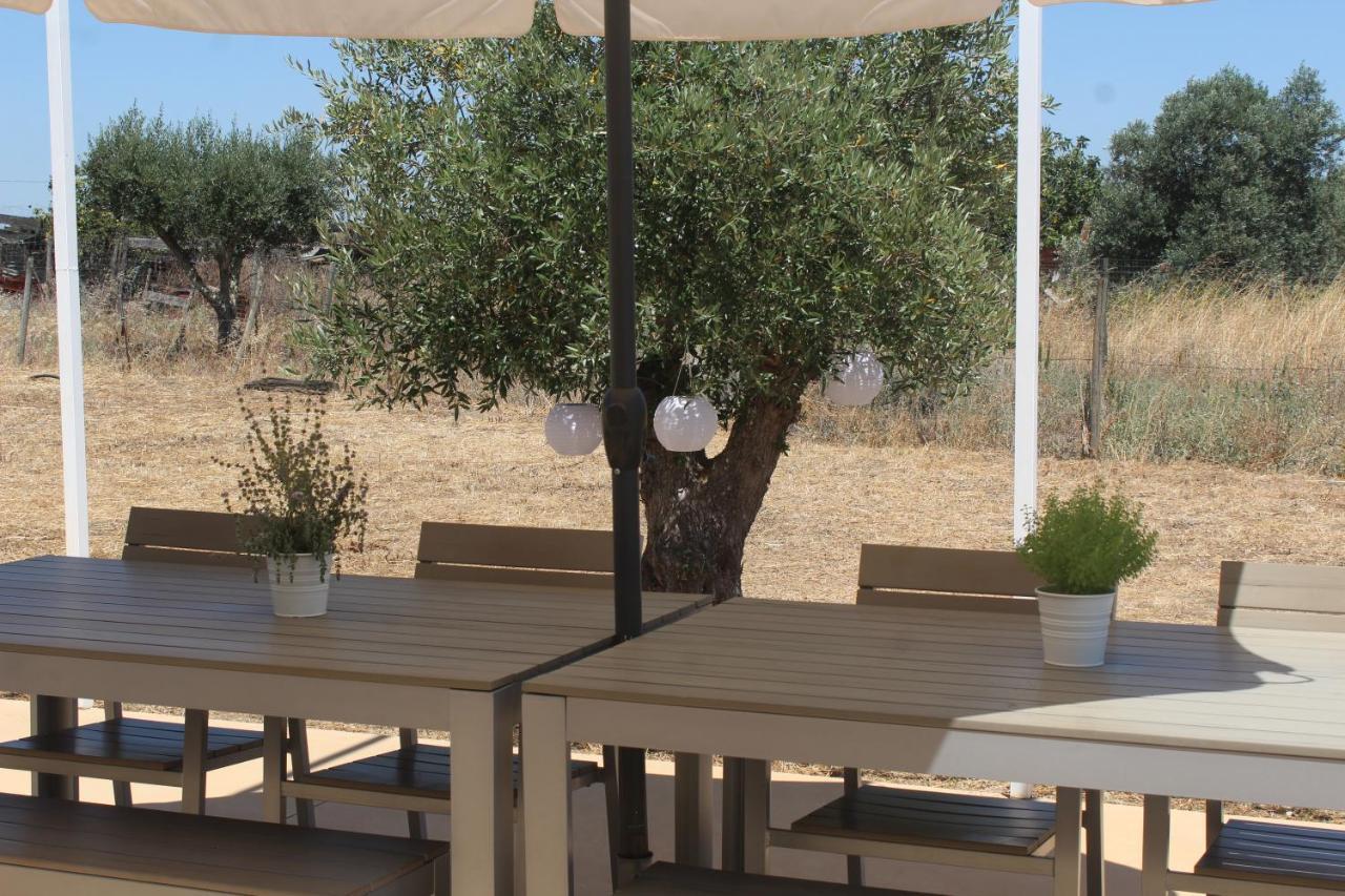 Casa Do Roxo - Eco Design Country House Santa Vitória 外观 照片
