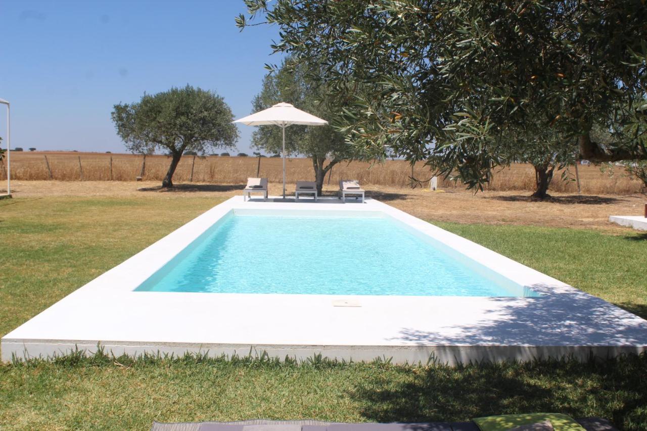 Casa Do Roxo - Eco Design Country House Santa Vitória 外观 照片