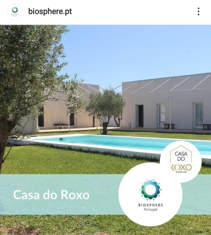 Casa Do Roxo - Eco Design Country House Santa Vitória 外观 照片